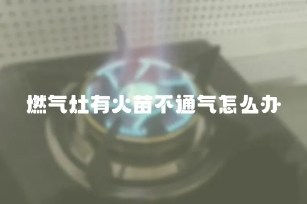 燃氣灶有火苗不通氣怎么辦