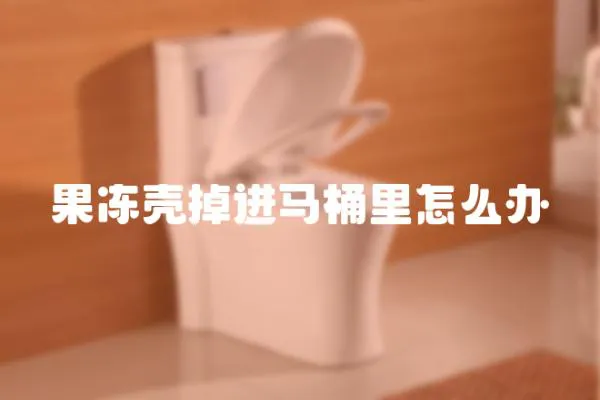 果凍殼掉進馬桶里怎么辦