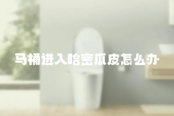 馬桶進(jìn)入哈密瓜皮怎么辦