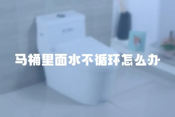 马桶里面水不循环怎么办