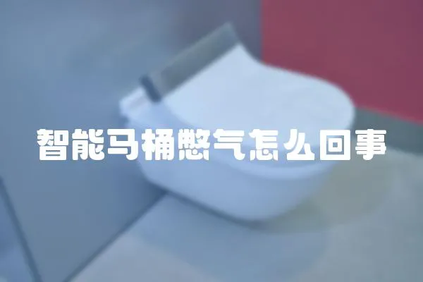 智能马桶憋气怎么回事