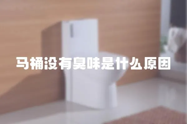 馬桶沒有臭味是什么原因