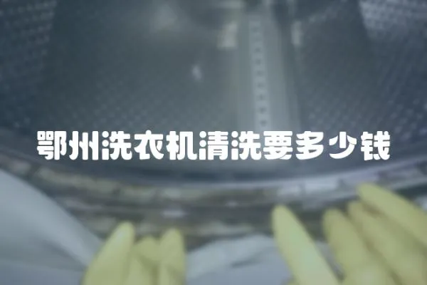 鄂州洗衣機清洗要多少錢