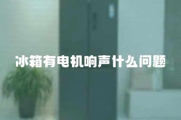 冰箱有電機響聲什么問題