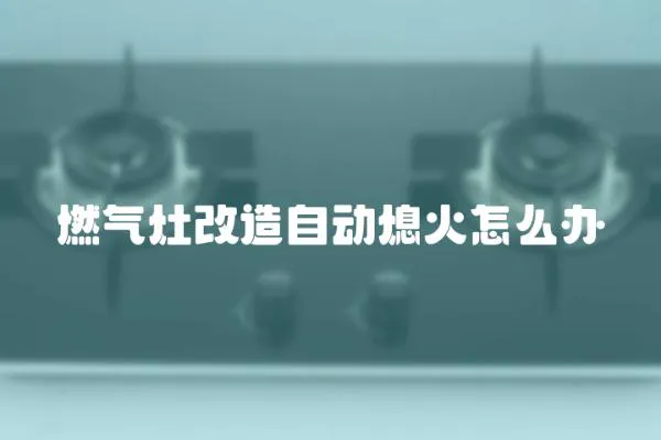 燃?xì)庠罡脑熳詣?dòng)熄火怎么辦