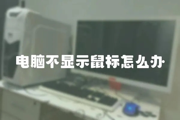 電腦不顯示鼠標怎么辦