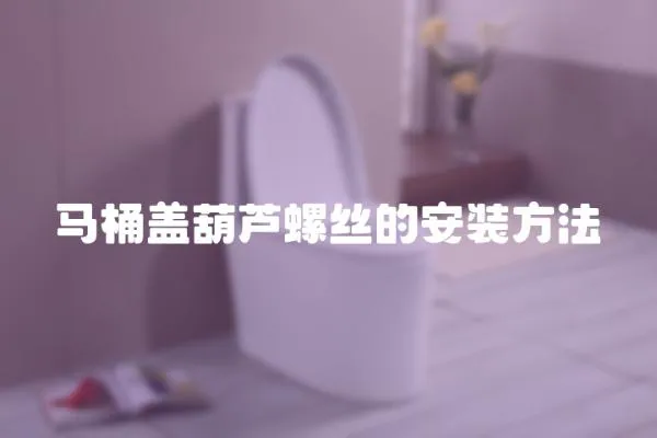馬桶蓋葫蘆螺絲的安裝方法