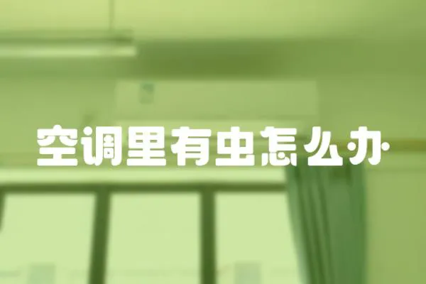 空調里有蟲怎么辦
