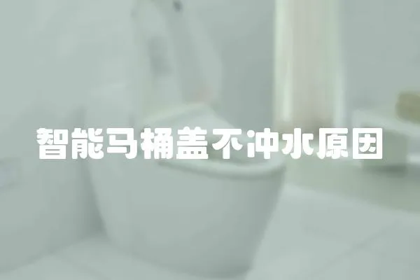 智能馬桶蓋不沖水原因