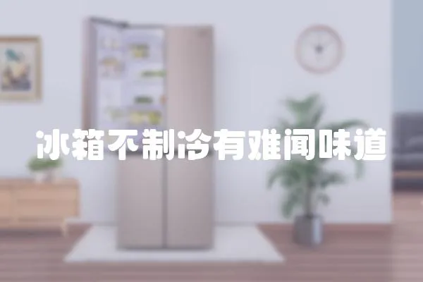 冰箱不制冷有難聞味道