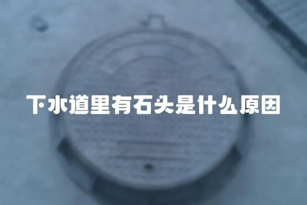 下水道里有石頭是什么原因