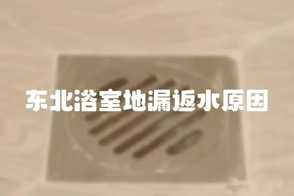 東北浴室地漏返水原因