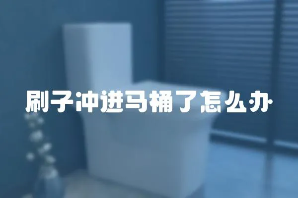 刷子沖進馬桶了怎么辦