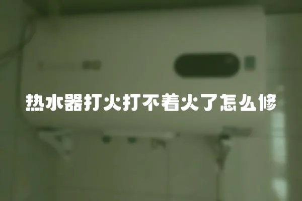 熱水器打火打不著火了怎么修