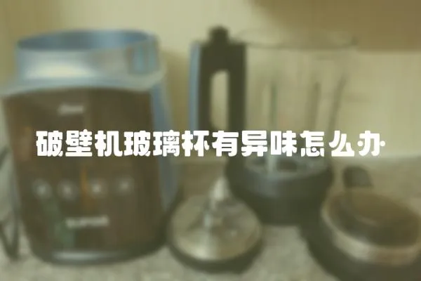 破壁機(jī)玻璃杯有異味怎么辦
