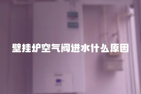 壁掛爐空氣閥進水什么原因