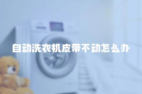 自動洗衣機(jī)皮帶不動怎么辦