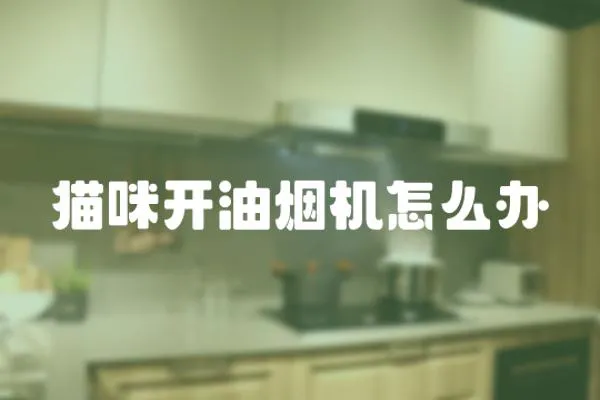 貓咪開油煙機(jī)怎么辦