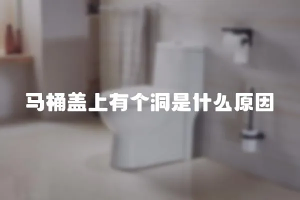 馬桶蓋上有個洞是什么原因