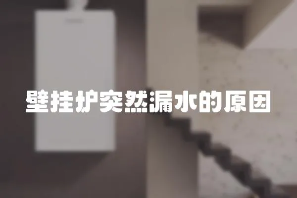壁掛爐突然漏水的原因