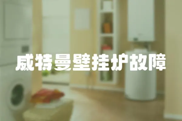 威特曼壁掛爐故障