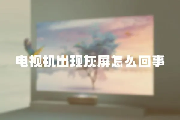 電視機出現(xiàn)灰屏怎么回事