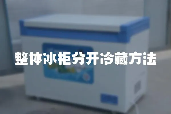 整體冰柜分開冷藏方法