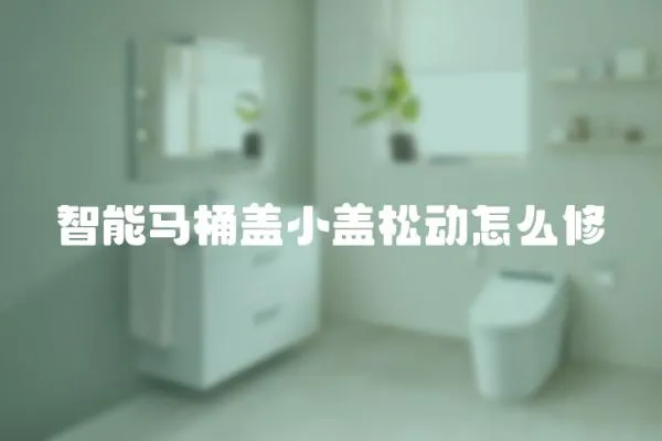智能馬桶蓋小蓋松動怎么修