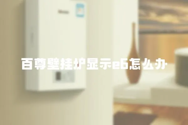 百尊壁掛爐顯示e6怎么辦