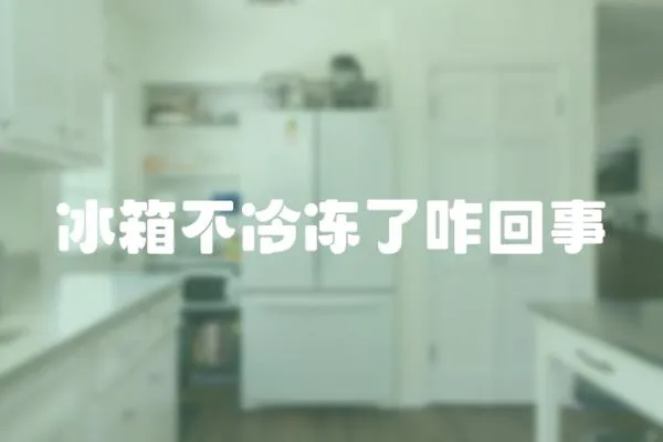 冰箱不冷凍了咋回事