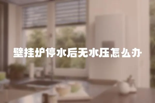 壁掛爐停水后無水壓怎么辦