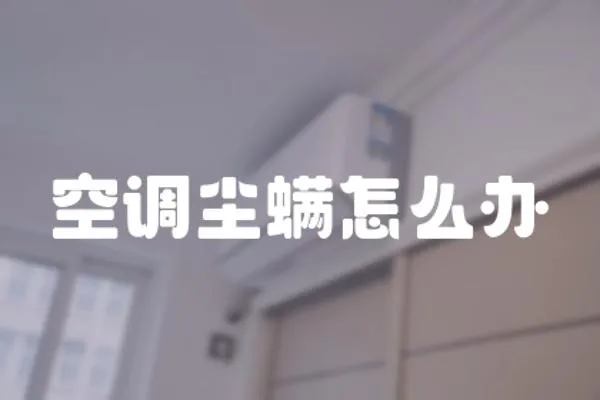 空調塵螨怎么辦