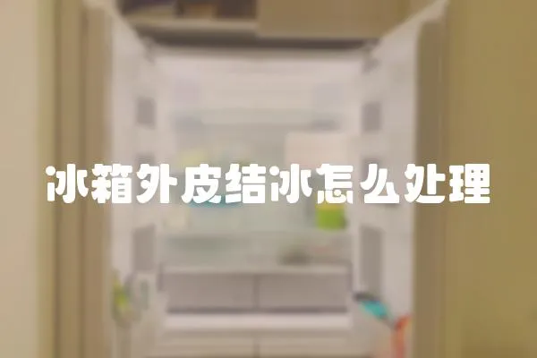冰箱外皮結(jié)冰怎么處理