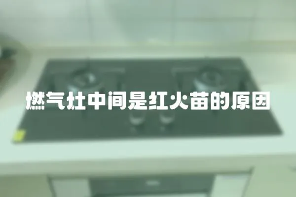 燃氣灶中間是紅火苗的原因