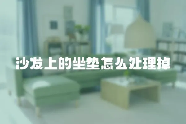 沙發(fā)上的坐墊怎么處理掉