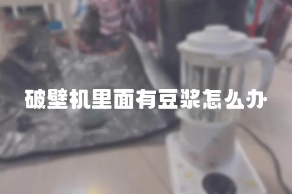 破壁機里面有豆?jié){怎么辦