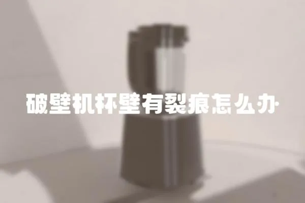破壁机杯壁有裂痕怎么办