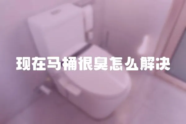 現在馬桶很臭怎么解決