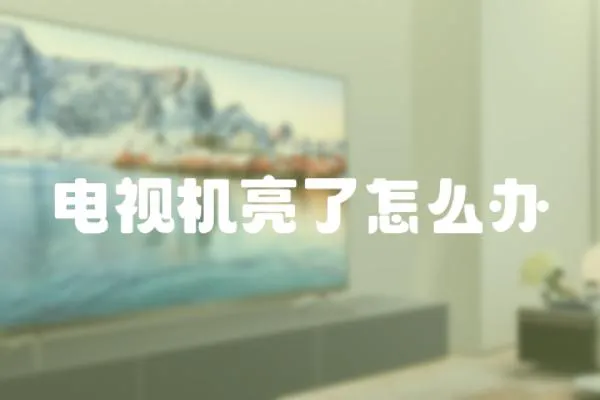 電視機亮了怎么辦