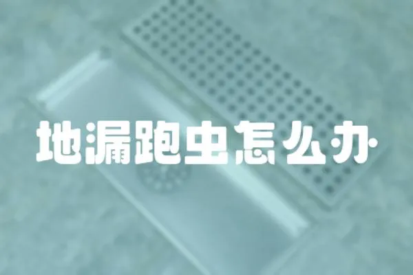 地漏跑蟲怎么辦