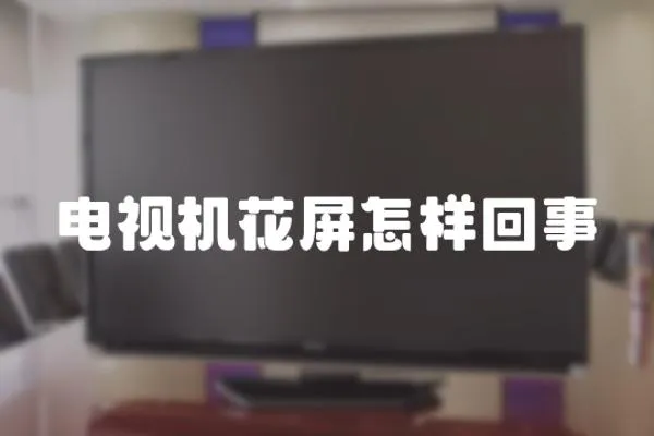 電視機花屏怎樣回事