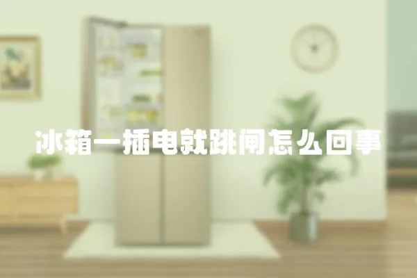 冰箱一插電就跳閘怎么回事