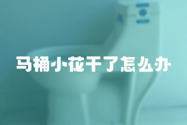 馬桶小花干了怎么辦
