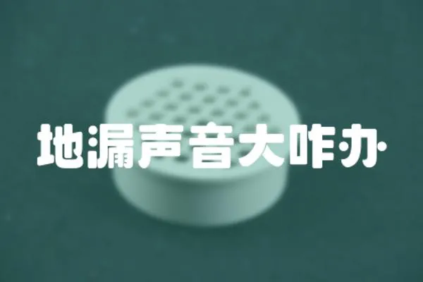 地漏聲音大咋辦