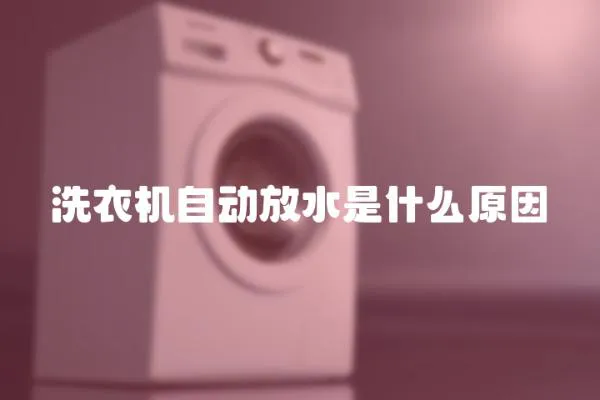洗衣機自動放水是什么原因