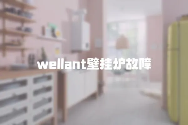 wellant壁掛爐故障
