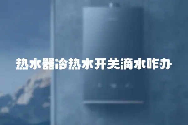 熱水器冷熱水開關滴水咋辦