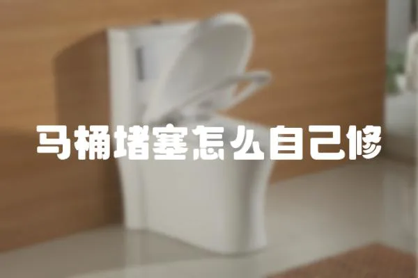 馬桶堵塞怎么自己修