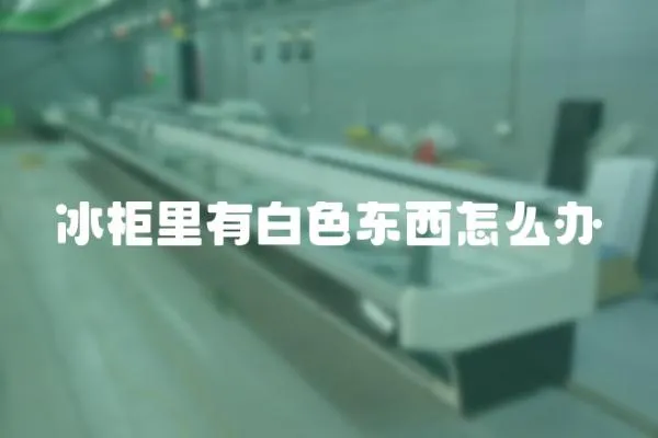 冰柜里有白色東西怎么辦