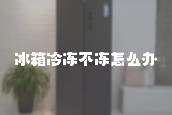 冰箱冷凍不凍怎么辦